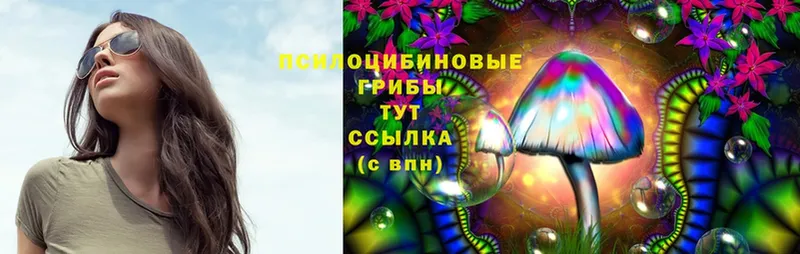 Галлюциногенные грибы MAGIC MUSHROOMS Татарск